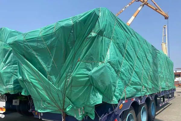 40ft Skeleton Trailer for Shipment